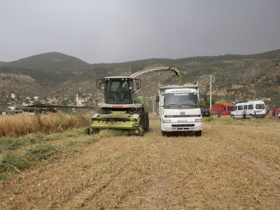 Lenox Tarla Günü Milas'ta yapıldı