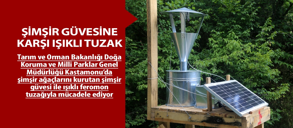 Şimşir güvesine karşı ışıklı tuzak