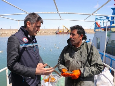 İnci kefali için av yasağı başlıyor