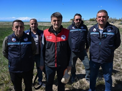 İnci kefali için denetimler sürüyor