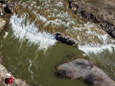 Yağışlar inci kefalinin üreme dönemini rahatlattı