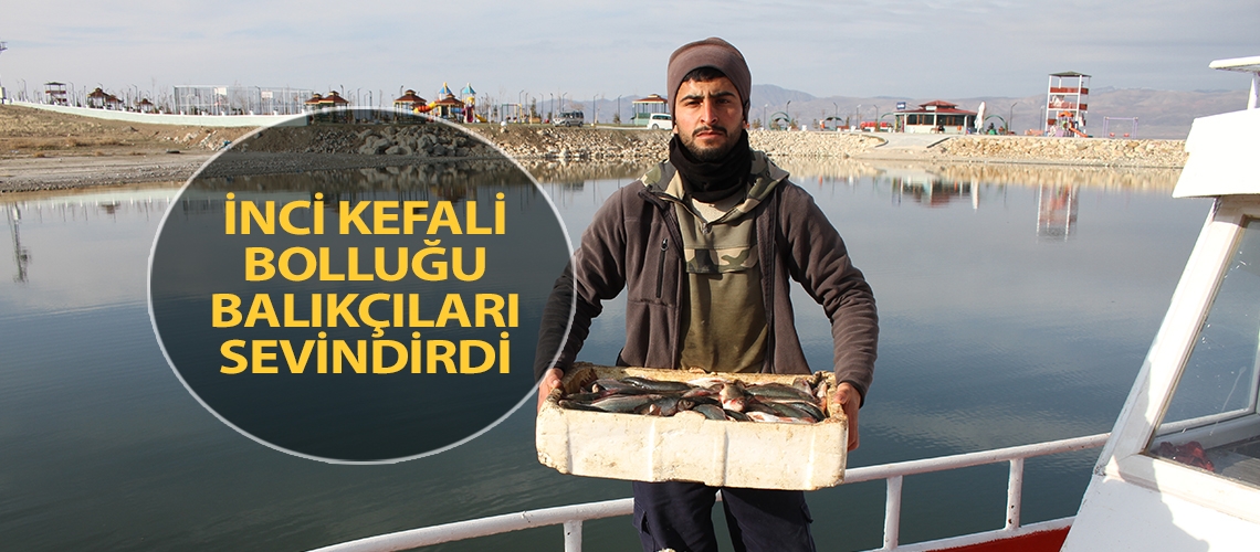 İnci kefali bolluğu balıkçıları sevindirdi
