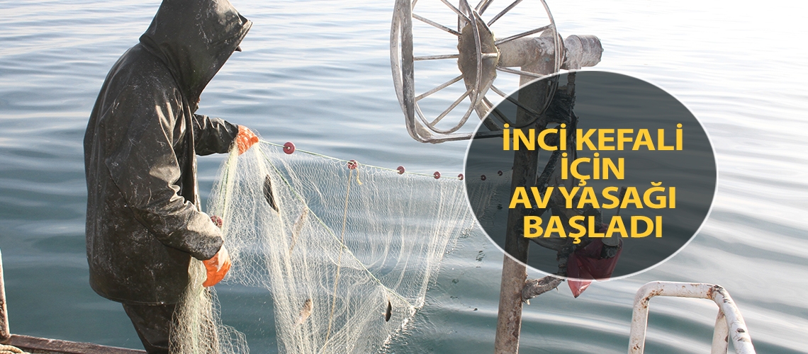 İnci kefali için av yasağı başladı