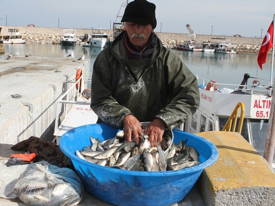İnci kefali için av yasağı başladı