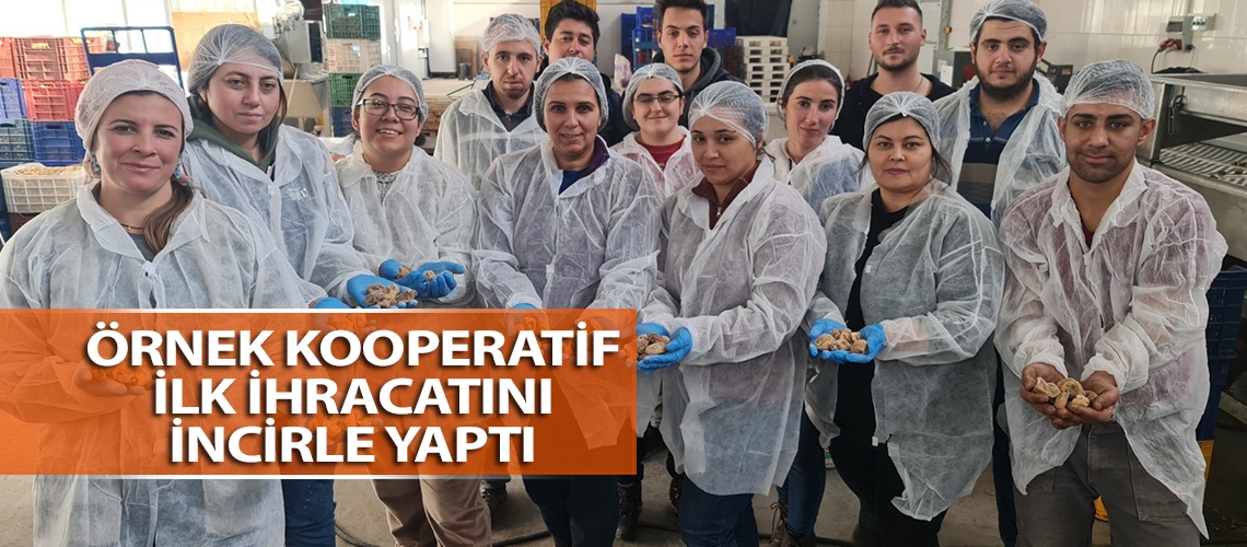Örnek kooperatif ilk ihracatını incirle yaptı