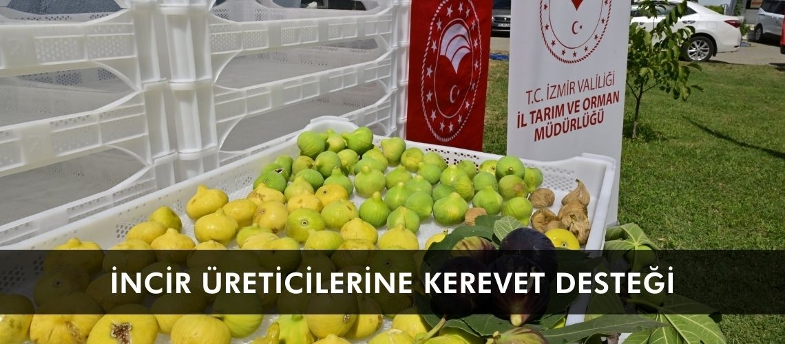 İncir üreticilerine kerevet desteği