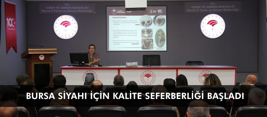 Bursa Siyahı için kalite seferberliği başladı