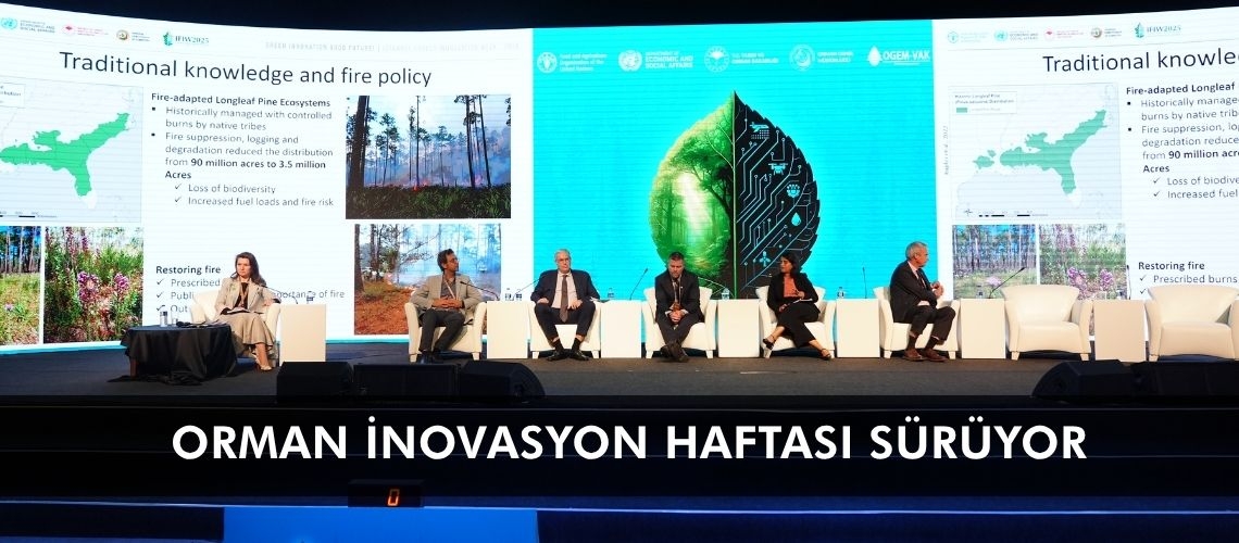 Orman İnovasyon Haftası sürüyor