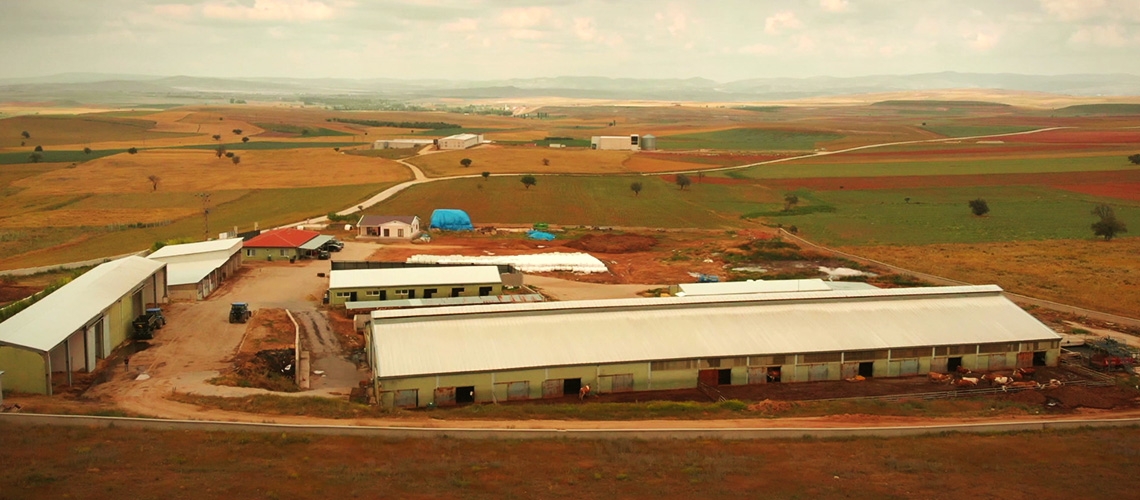 IPARD - Örnek Proje