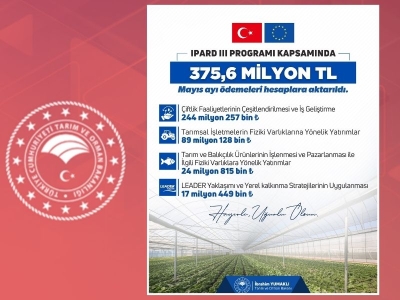 Mayıs ayında 375 milyon TL hibe ödendi
