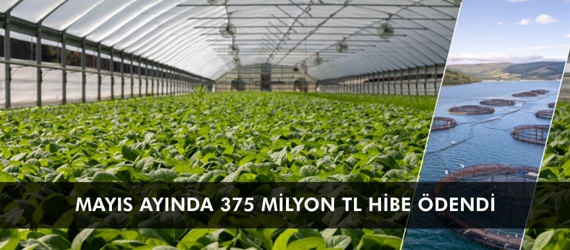 Mayıs ayında 375 milyon TL hibe ödendi