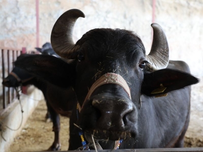 Desteklenen projeler üretimde verimliliği artırıyor