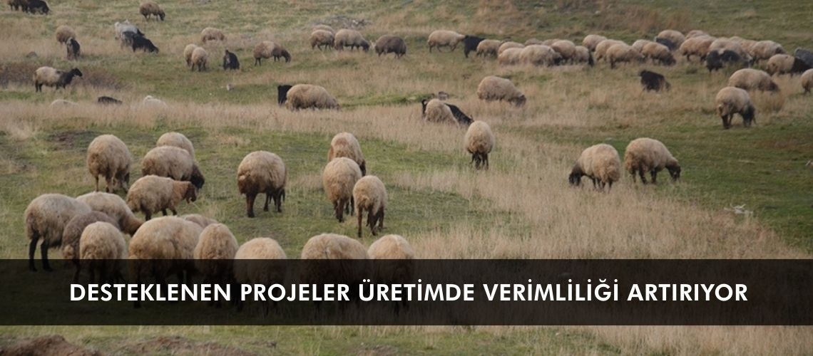 Desteklenen projeler üretimde verimliliği artırıyor