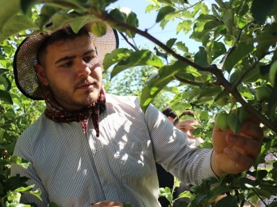İklim koşulları düzeldi, bahçelere bereket geldi