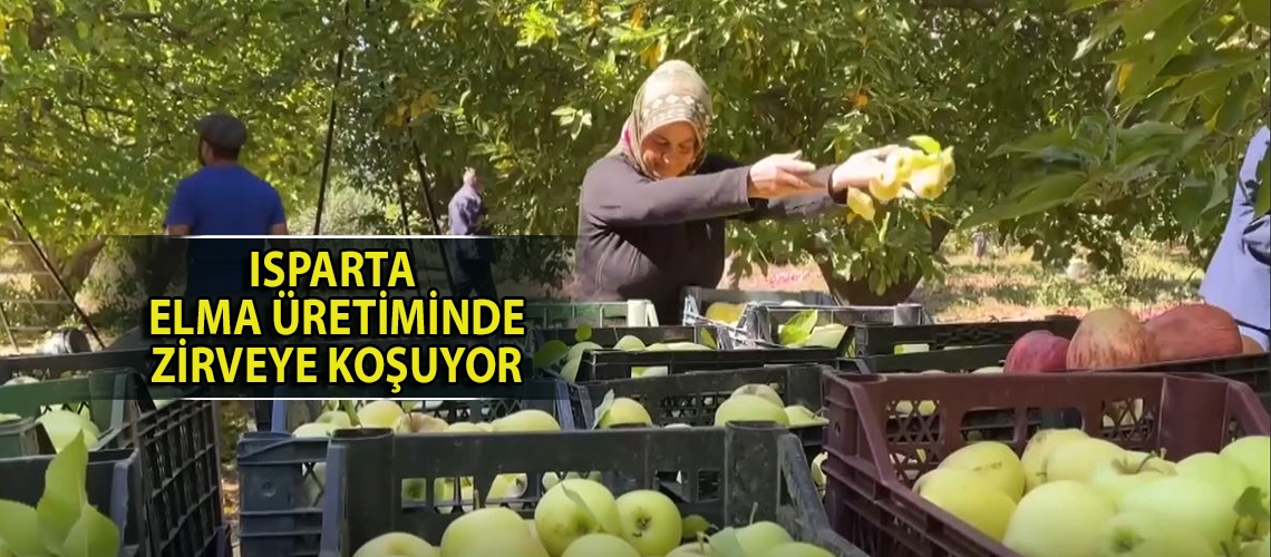 Isparta elma üretiminde zirveye koşuyor