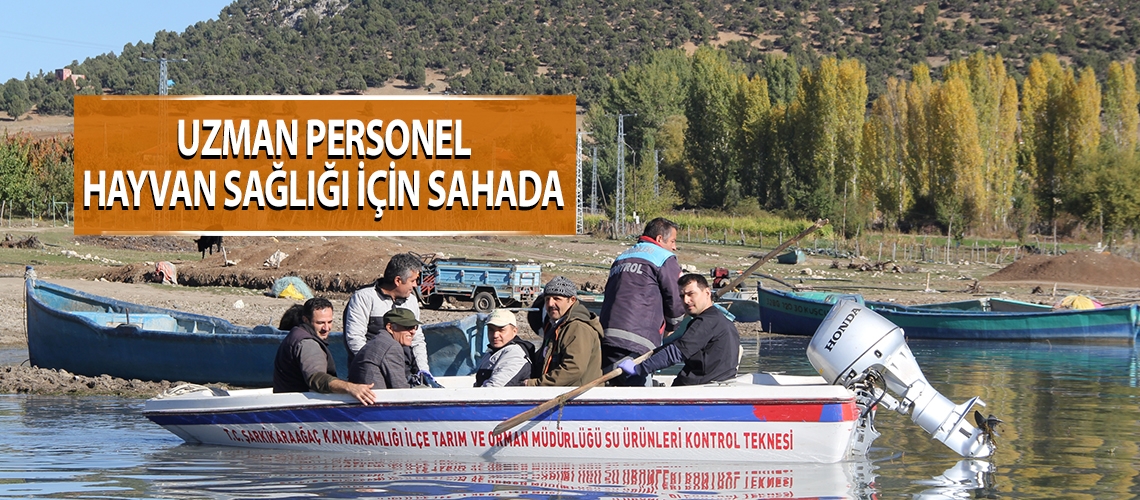 Uzman personel hayvan sağlığı için sahada