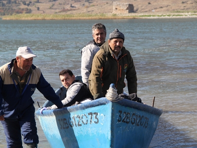 Uzman personel hayvan sağlığı için sahada