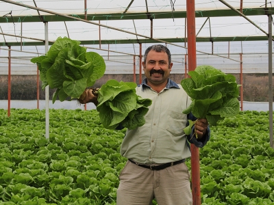 Kışın sebzeler Sütçüler ilçesinden