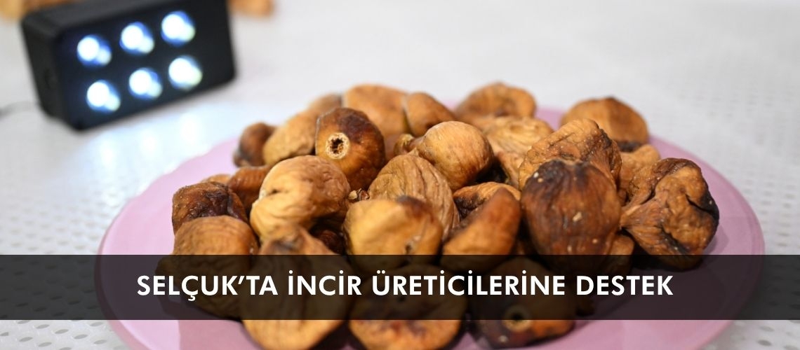 Selçuk’ta incir üreticilerine destek