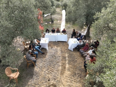 Dünya Zeytin Ağacı Günü eğitimle kutlandı