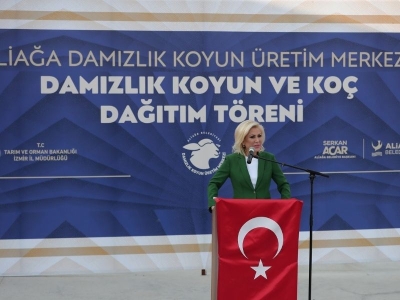 İzmirli besicilere damızlık hayvan desteği verildi