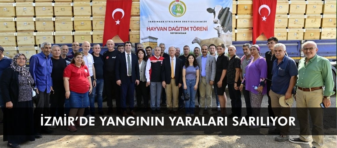 İzmir’de yangının yaraları sarılıyor