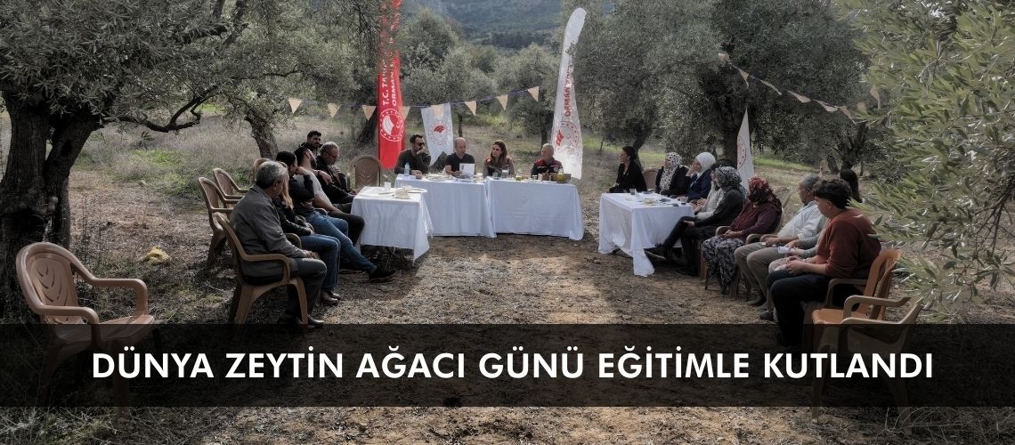 Dünya Zeytin Ağacı Günü eğitimle kutlandı
