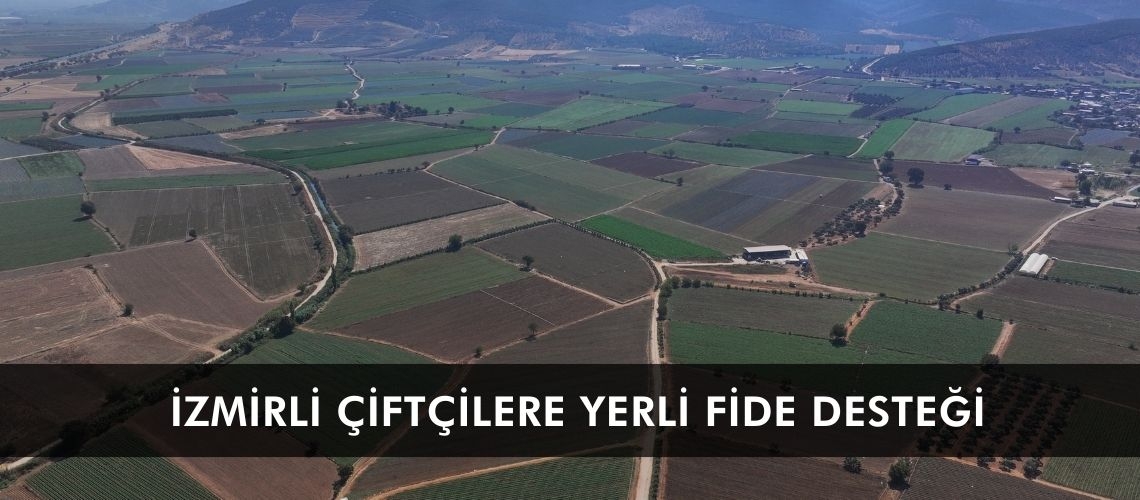 İzmirli çiftçilere yerli fide desteği
