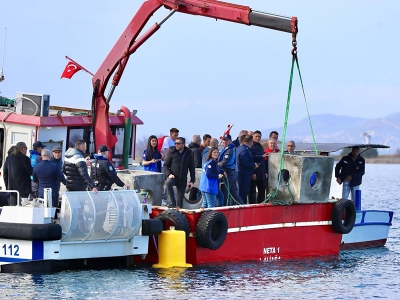 Körfezde balık çeşitliliği yapay resiflerle artacak