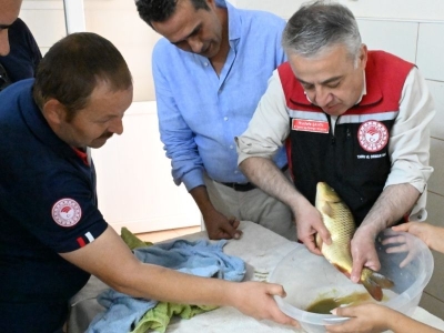 İç suların balığı İzmir’den