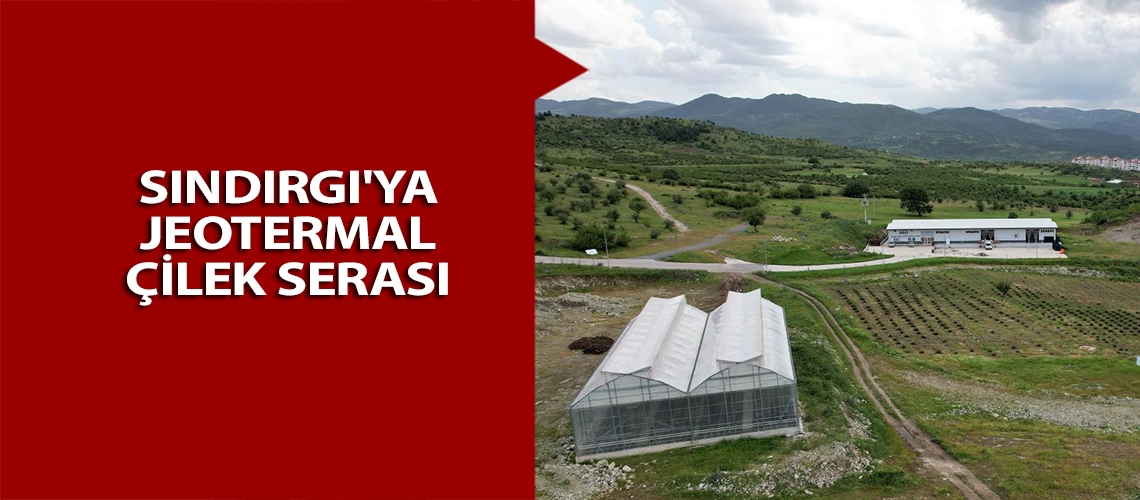 Sındırgı'ya jeotermal çilek serası