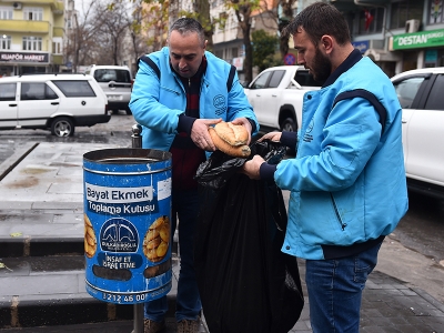 Ekmekler çöp değil hayvanlara yem oldu