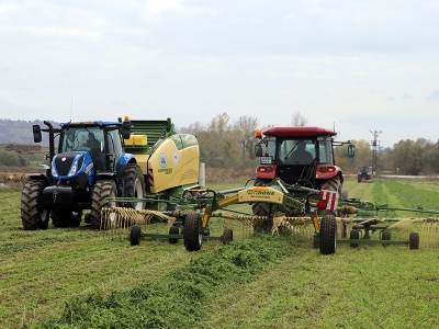 Bu proje kaba yem maliyetini azaltacak