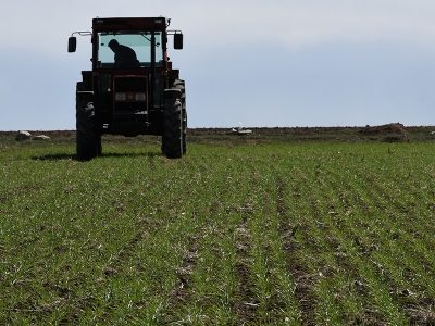 Kaba yeme akademik yaklaşım