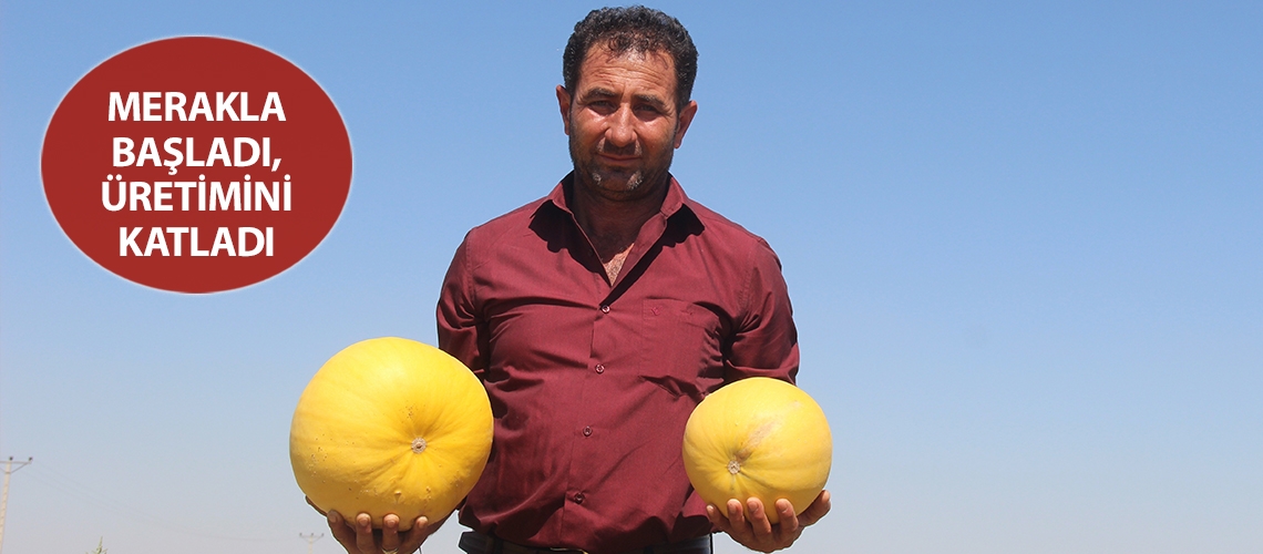 Merakla başladı, üretimini katladı