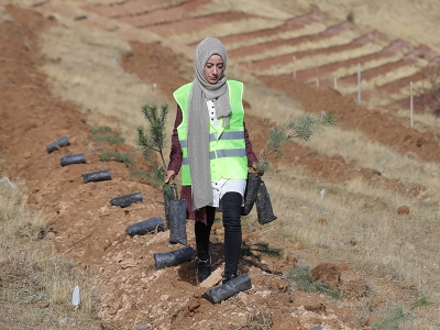 Ormanlar kadın eliyle yeşeriyor