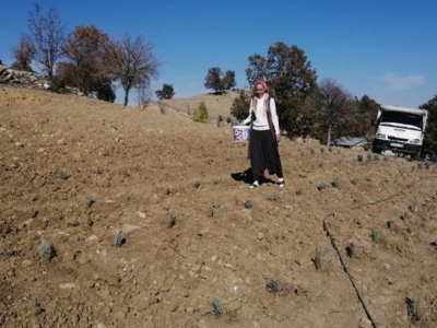 Lavantayla işinin patronu oldu