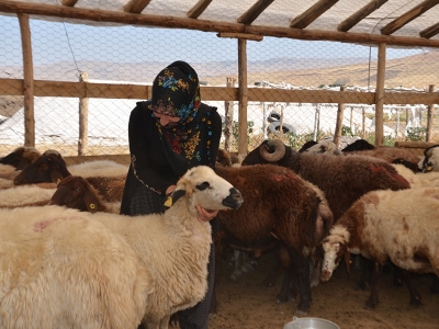 Kadın çiftçi destekle hayvan sayısını arttırdı