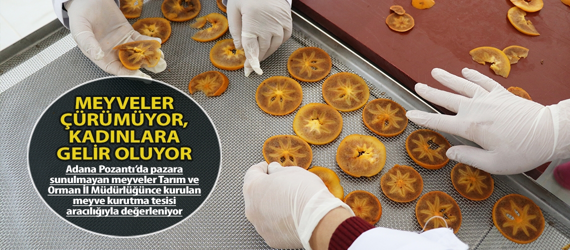 Meyveler çürümüyor, kadınlara gelir oluyor