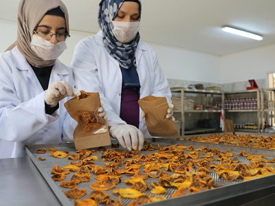 Meyveler çürümüyor, kadınlara gelir oluyor