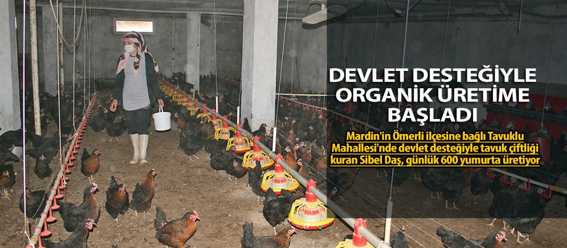 Devlet desteğiyle organik üretime başladı