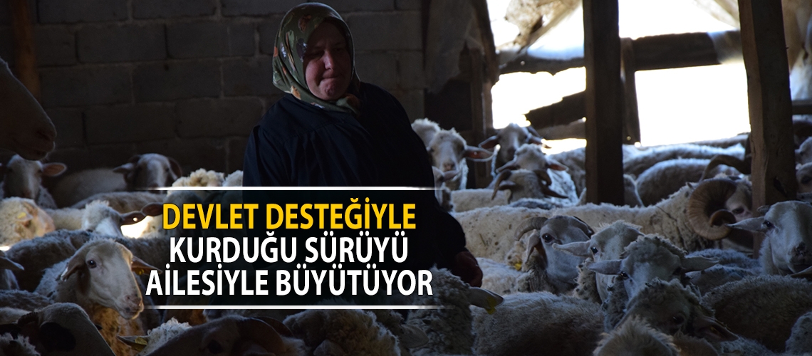 Devlet desteğiyle kurduğu sürüyü ailesiyle büyütüyor