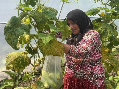 Serasını destekle kurdu, işinin patronu oldu