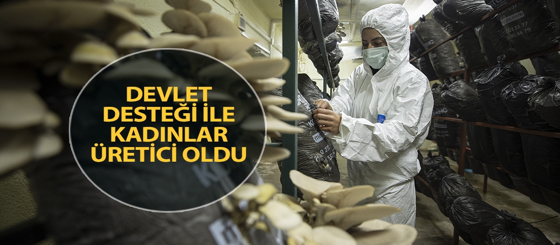 Devlet desteği ile kadınlar üretici oldu