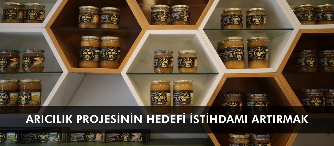 Arıcılık projesinin hedefi istihdamı artırmak