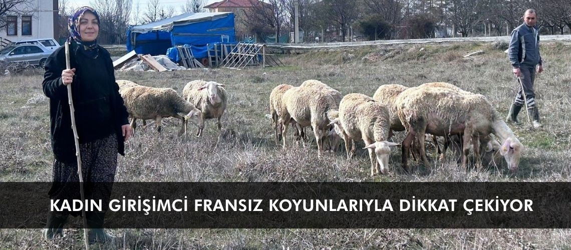 Kadın girişimci Fransız koyunlarıyla dikkat çekiyor