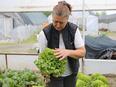 Evlat sevgisi tarımsal üretimle buluşturdu