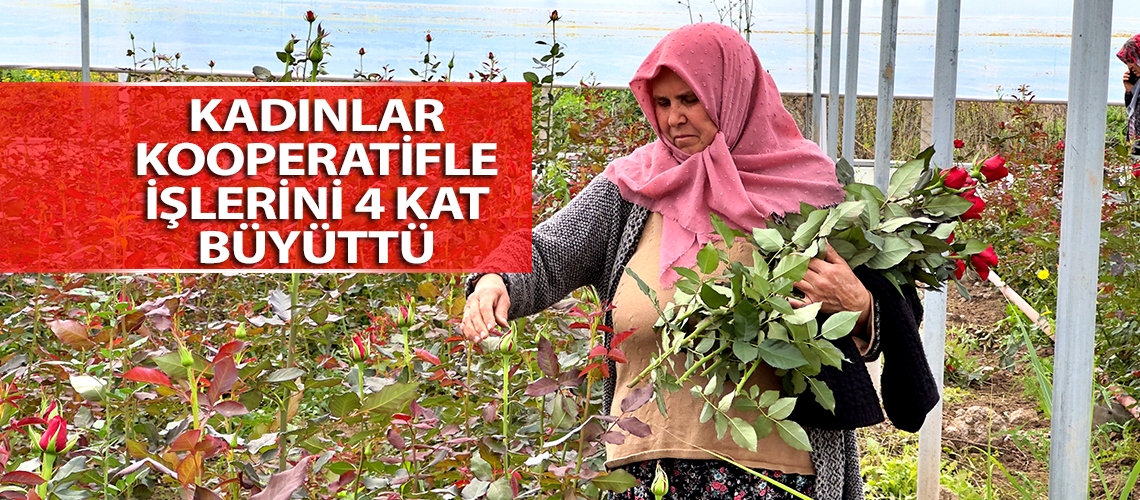 Kadınlar kooperatifle işlerini 4 kat büyüttü