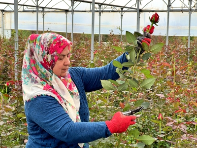 Kadınlar kooperatifle işlerini 4 kat büyüttü