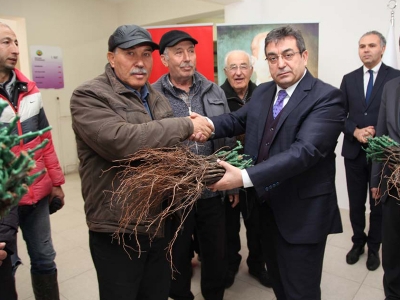 Bozcaada’ya aşılı bağ fidanı